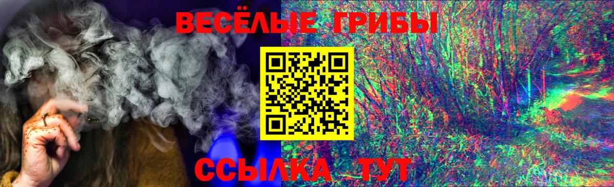 Сухой Лог  Галлюциногенные грибы прущие грибы  Вход с VPN 