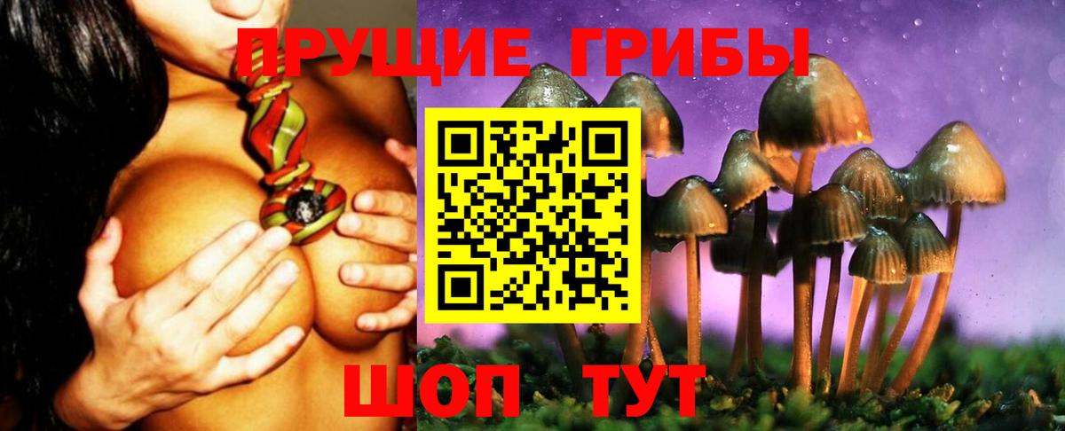 Псилоцибиновые грибы мицелий Сухой Лог